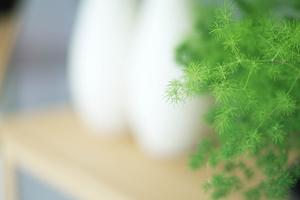 快適な空間づくりを叶える！東京の家具店で見つける高品質な家具の魅力とは？